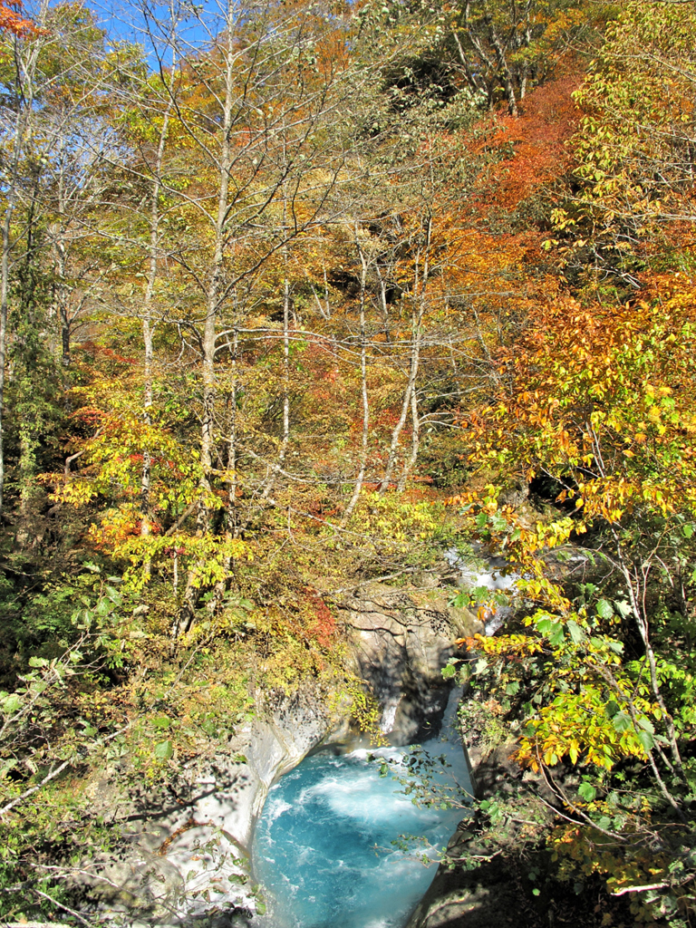 大白川　錦秋Ⅸ