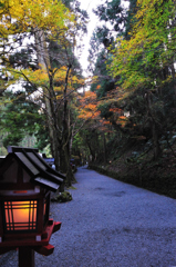 京都の秋を求めて　貴船神社Ⅳ