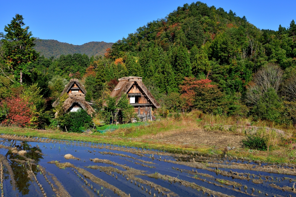 山里の秋　白川郷