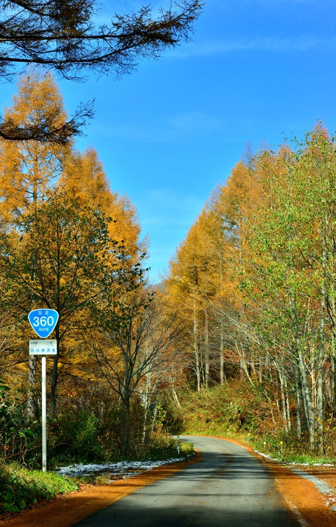 天上のコク道360号線 