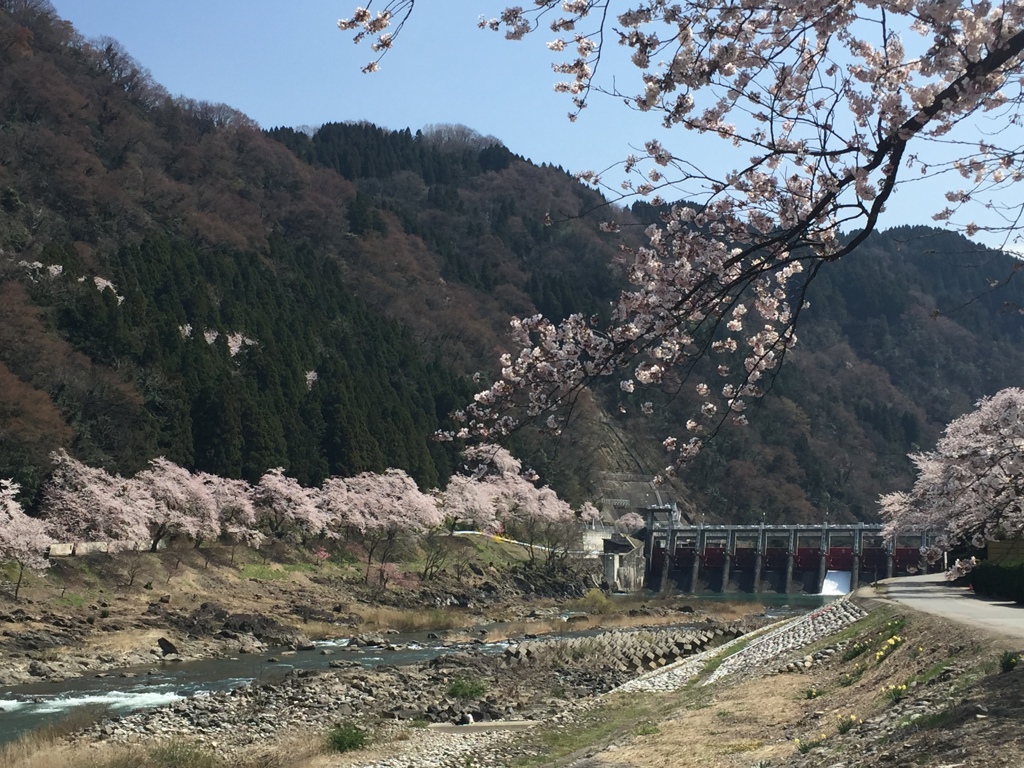 春爛漫2