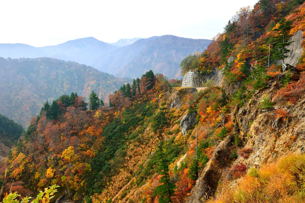 秋萌え　霊峰白山