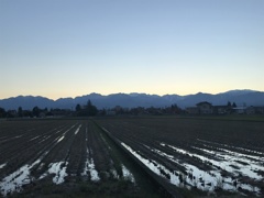 立山連峰夜明け