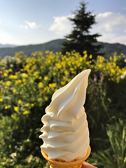 北海道のソフトクリームは格別！＠占冠