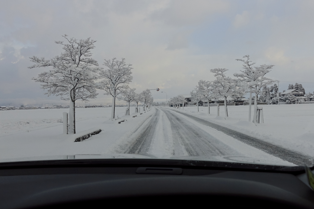早春雪道通勤