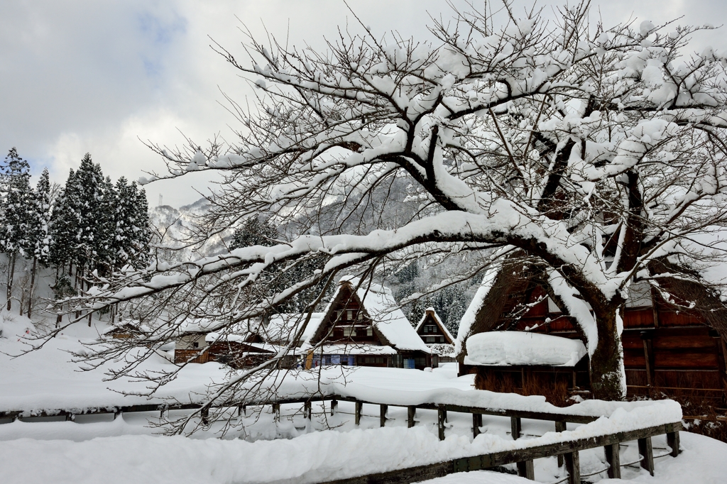 山里の 冬の厳しさ 来てみれば 池の水面に 雪ぞ積もれり