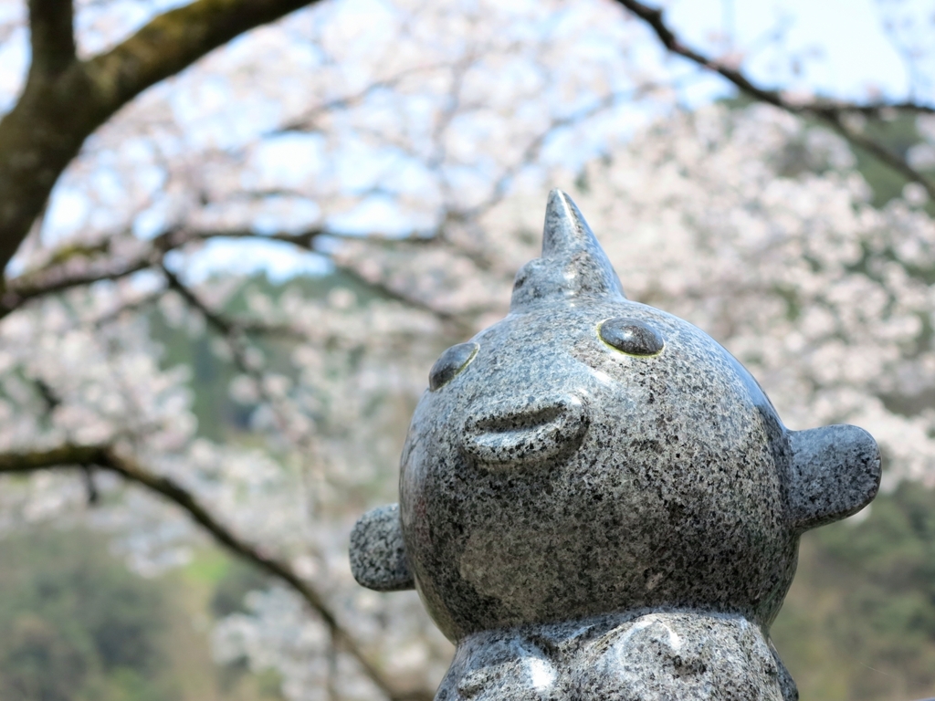 ぷくっち の 花見 