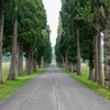 北海道旅行　ず～～っと先に…＠トラピスト大修道院