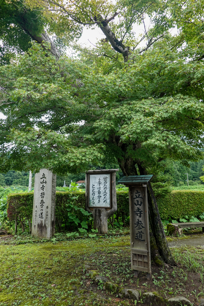 立山寺哲学の道･･･