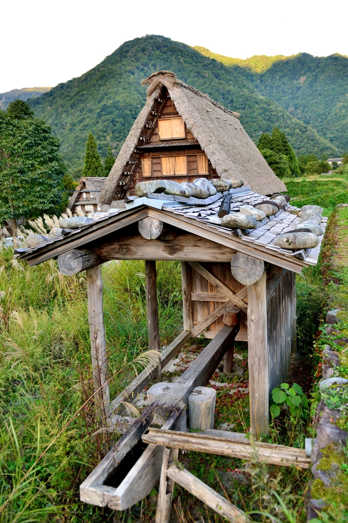 杵つき