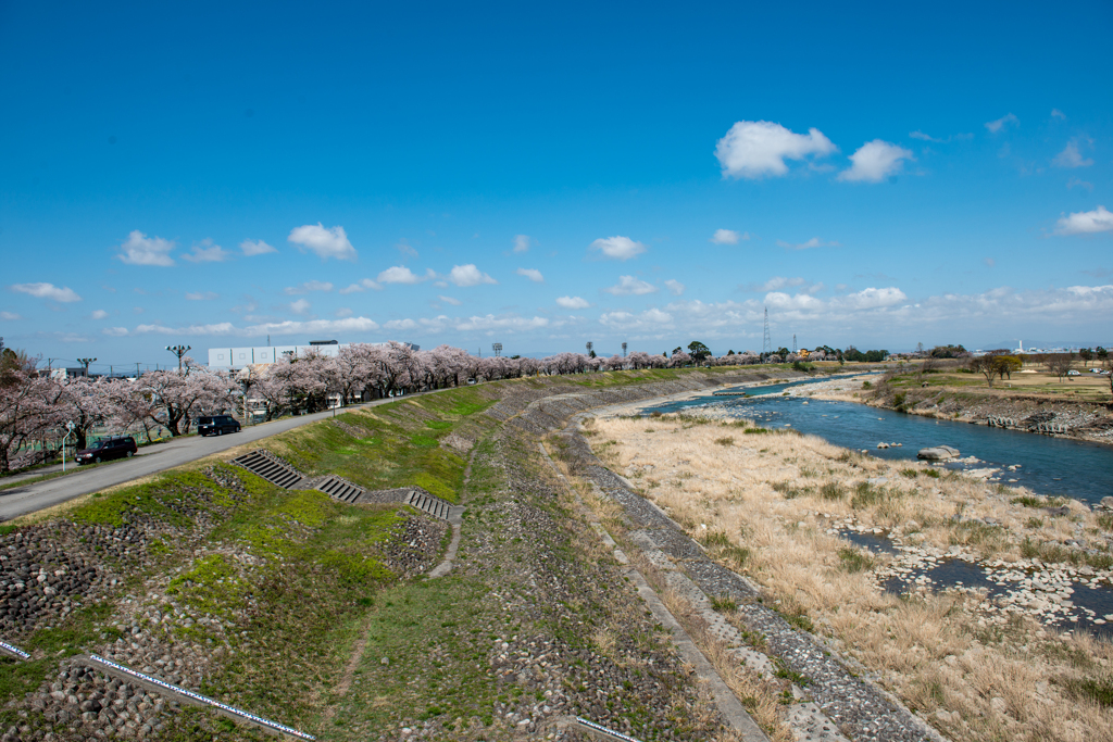 庄川・舟戸橋下流側