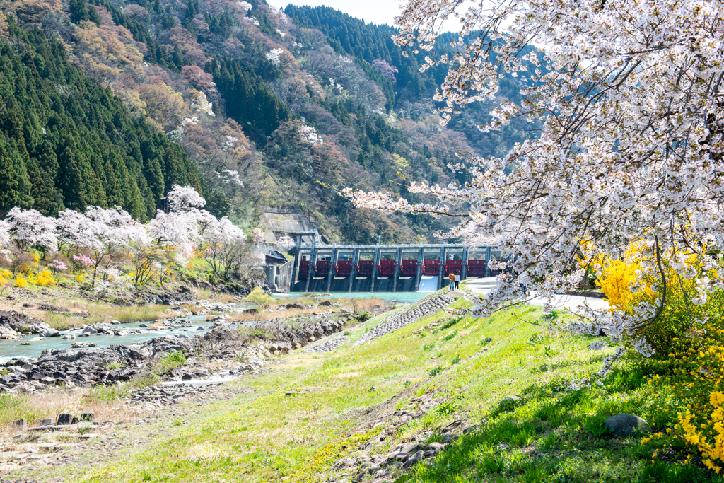 庄川合口ダム下流左岸から見る庄川嵐山風景