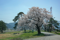 松川除堤防(前堰)