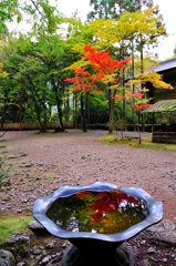 京都　三尾巡り　世界遺産　栂尾山高山寺Ⅶ