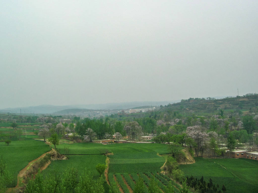 2005年中国の旅２　緑豊か…＠河南省 三門峡