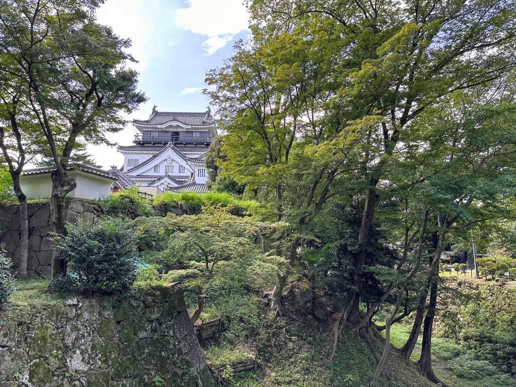 空堀越しに見る岡崎城天守