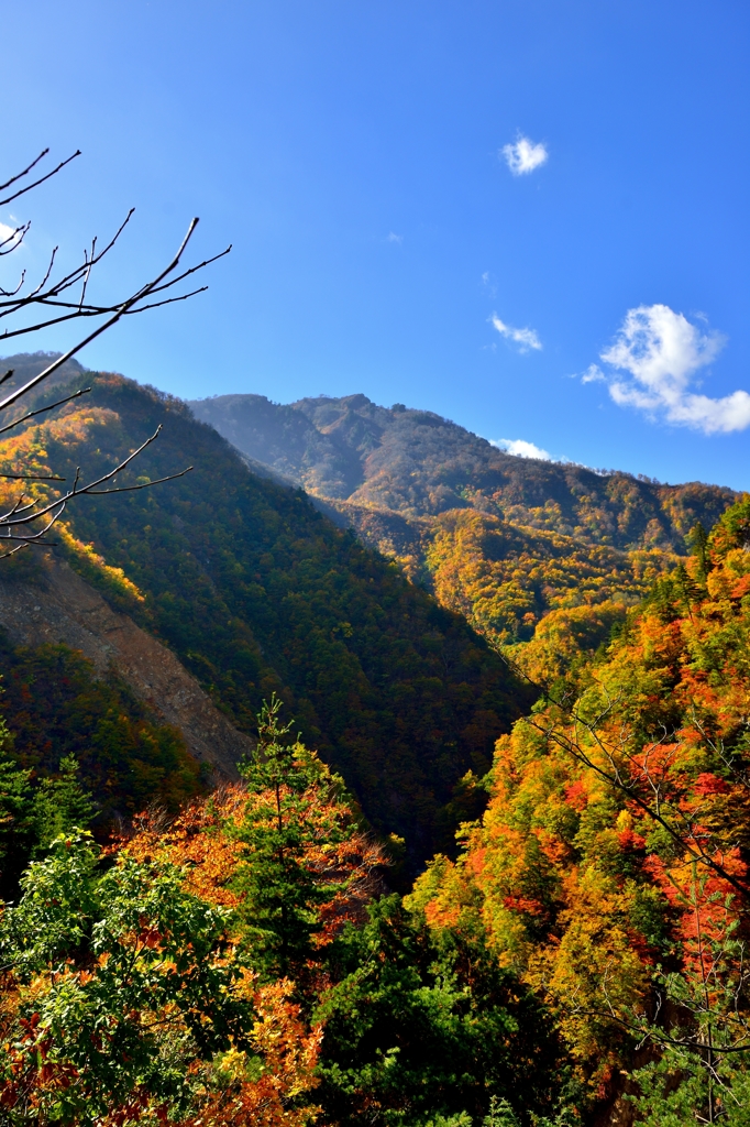 この登山道の行き先は・・・