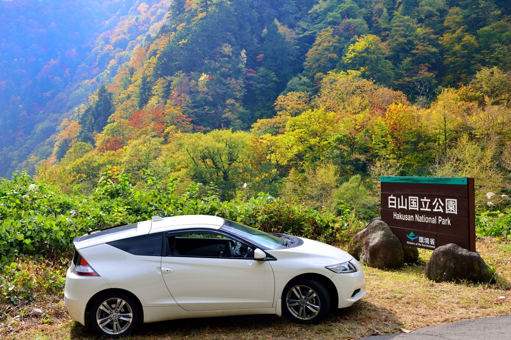 錦秋　愛車in白山国立公園