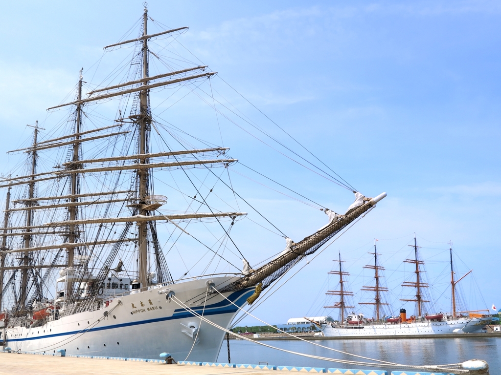 NIPPON MARU & KAIOU MARU 