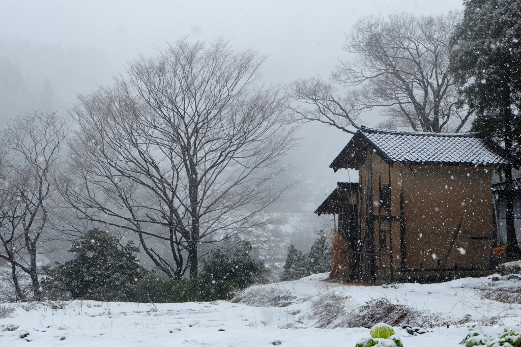 山里の正月に雪が降る