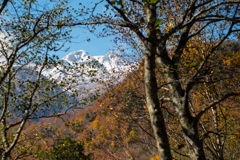 白山遠望