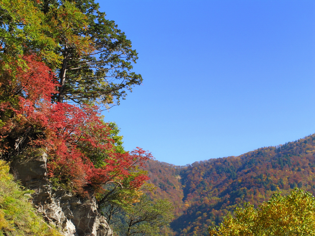 大白川　錦秋Ⅱ