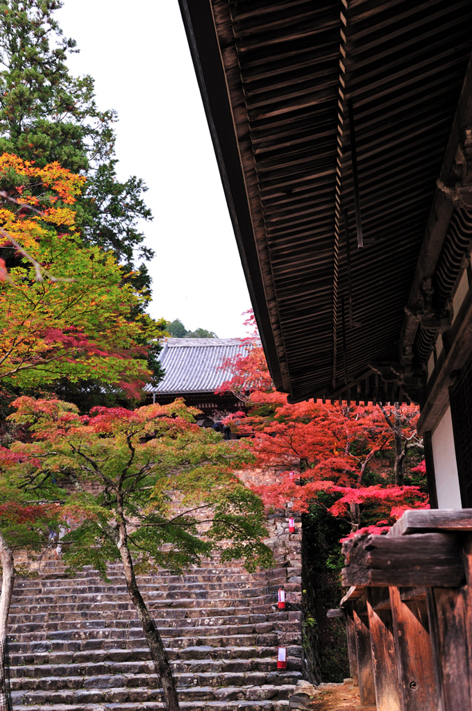 京都　三尾巡り　高雄山神護寺Ⅲ