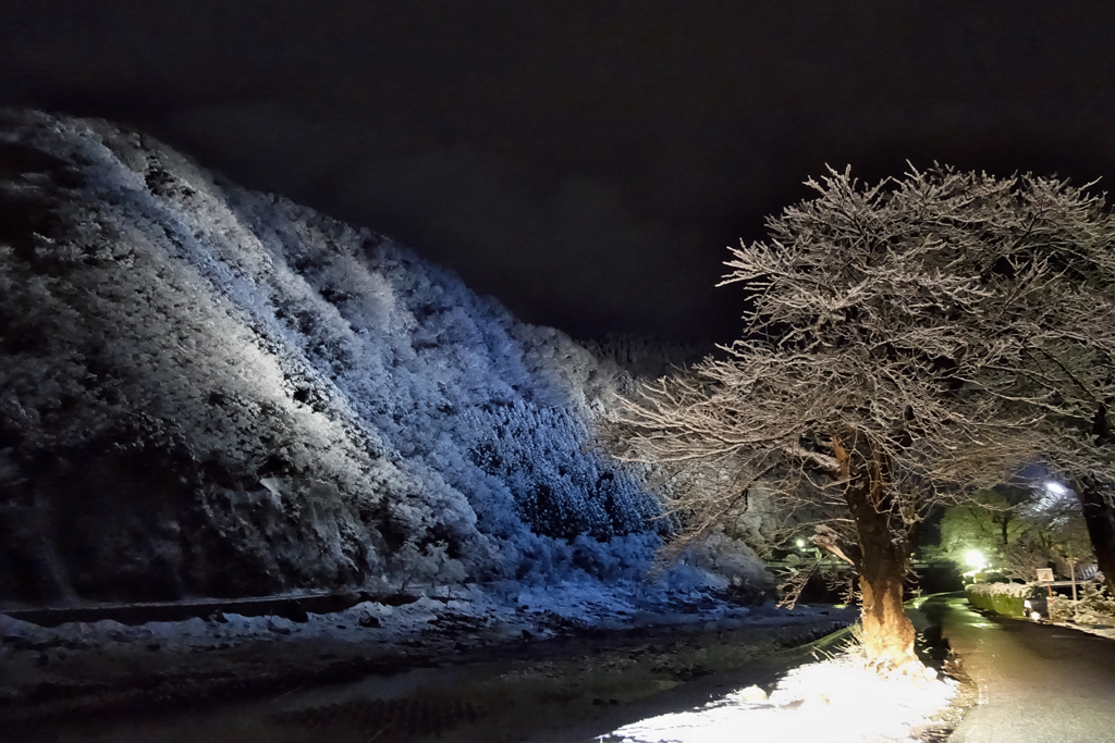 早春雪薄化粧