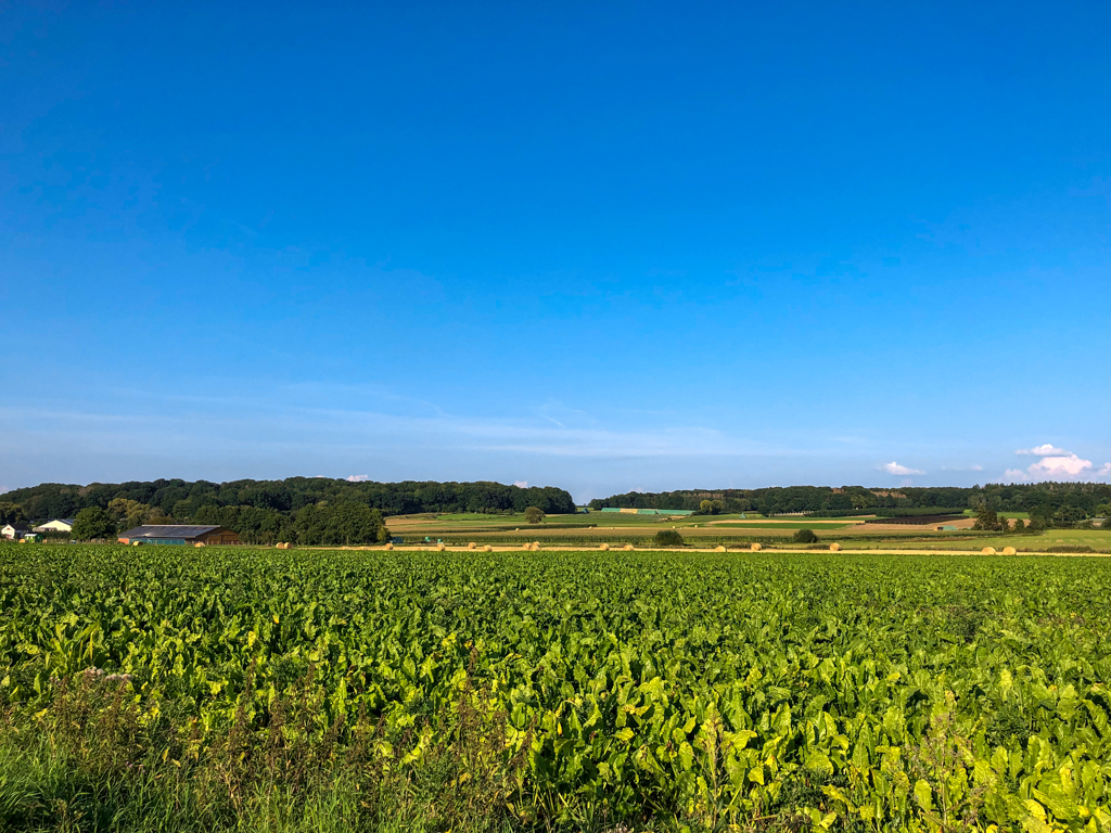 ボン近郊田園風景