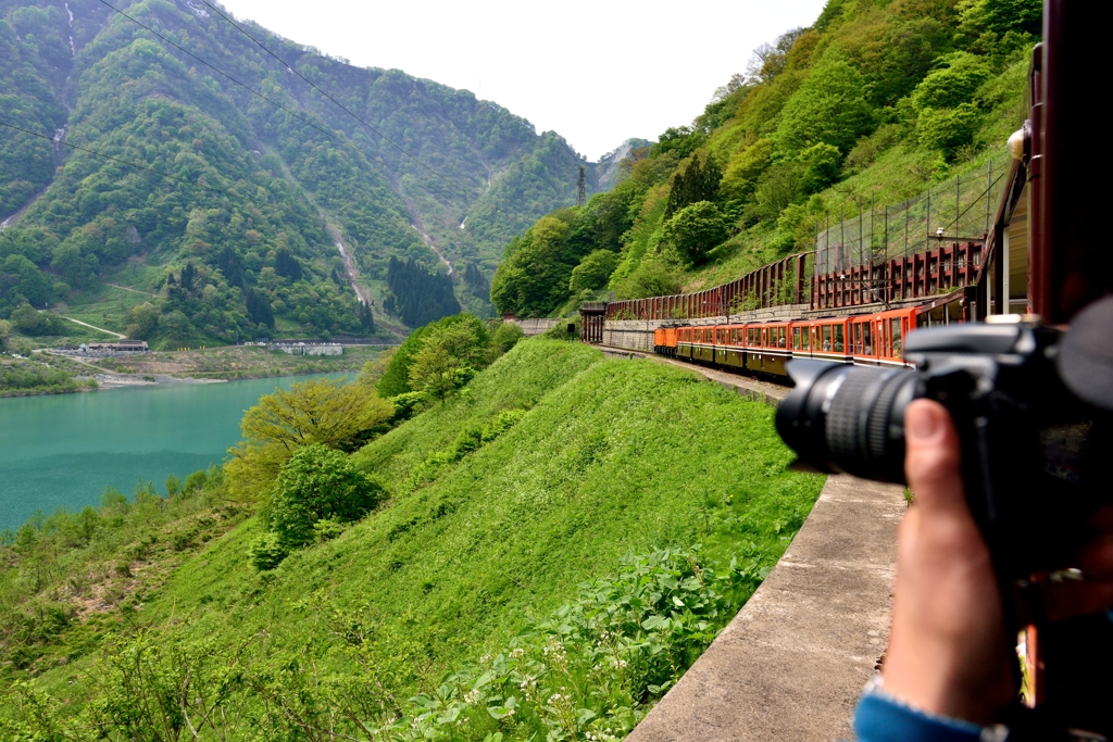 【新緑の黒部峡谷】爽やかトロッコ電車の旅