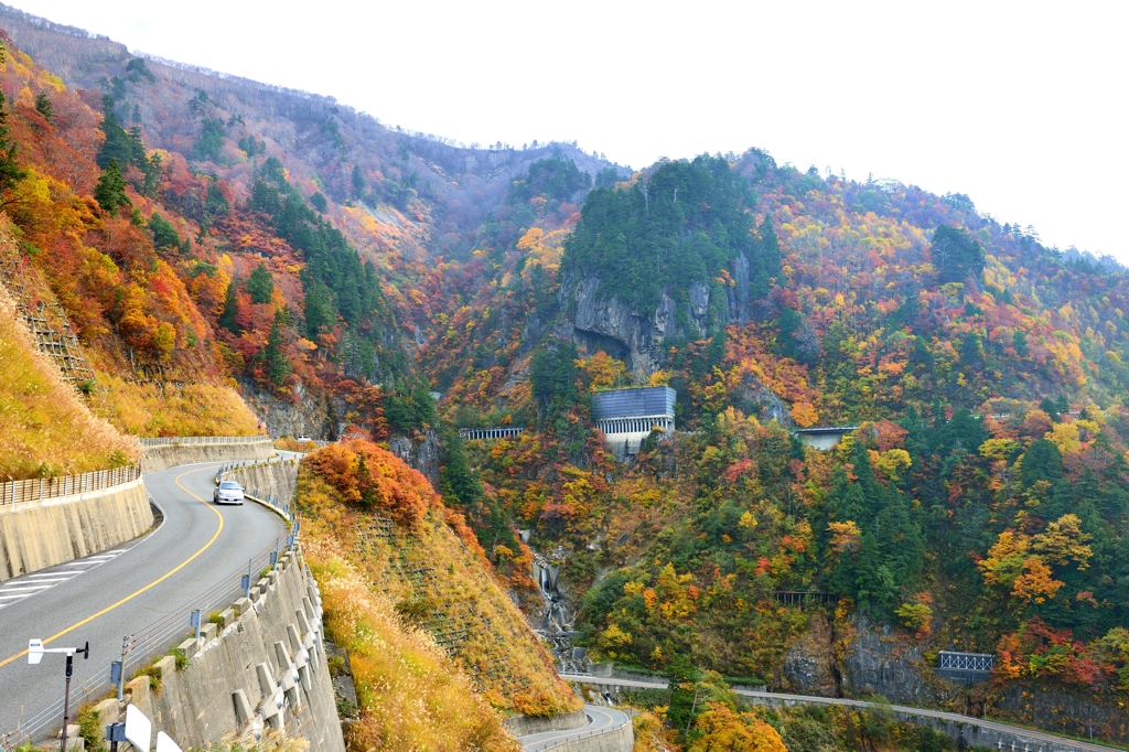 秋萌え　紅下る