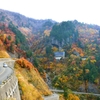 秋萌え　紅下る