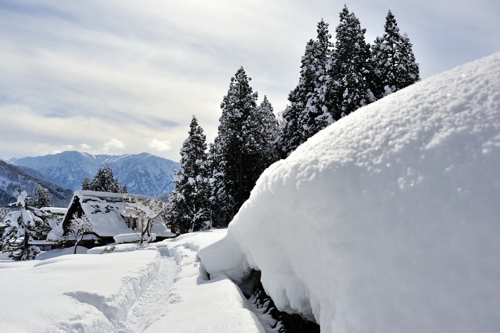 五箇山・相倉　雪道