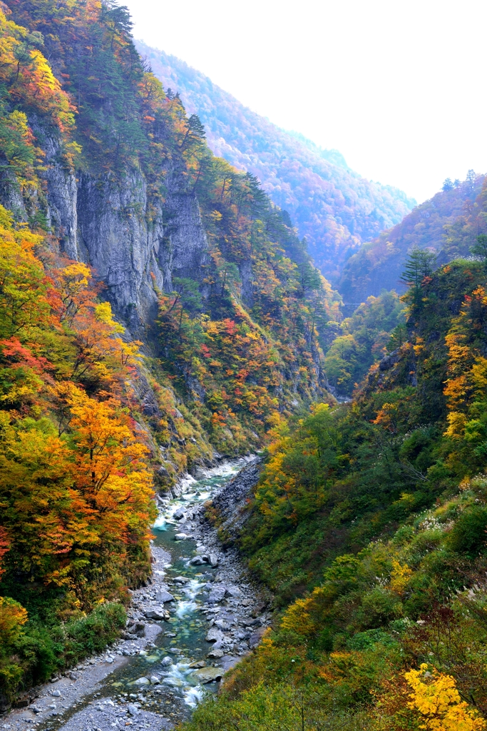 秋萌え　蛇谷渓谷Ⅱ