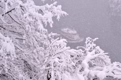 庄川峡雪景色　雪深き渓谷を行く
