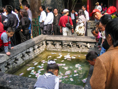 2005年中国の旅２　毘盧遮那閣前庭の池 白馬寺＠河南省 洛陽