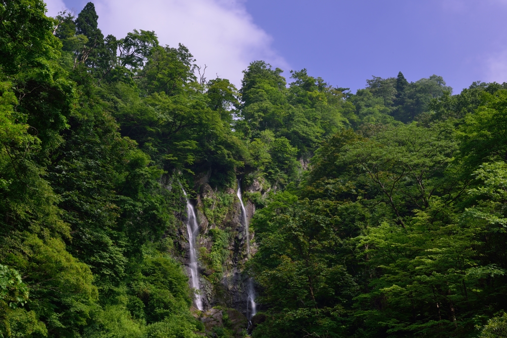 深緑山中二筋　夫婦滝