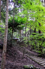 京都　三尾巡り　世界遺産　栂尾山高山寺Ⅳ