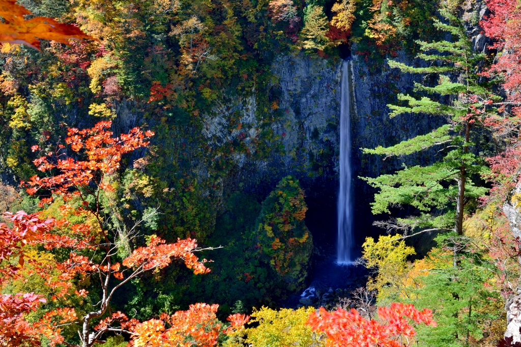 紅葉額縁