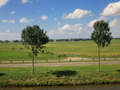 オランダ　車窓の風景　その２