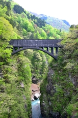 【新緑の黒部峡谷】美しき水の橋