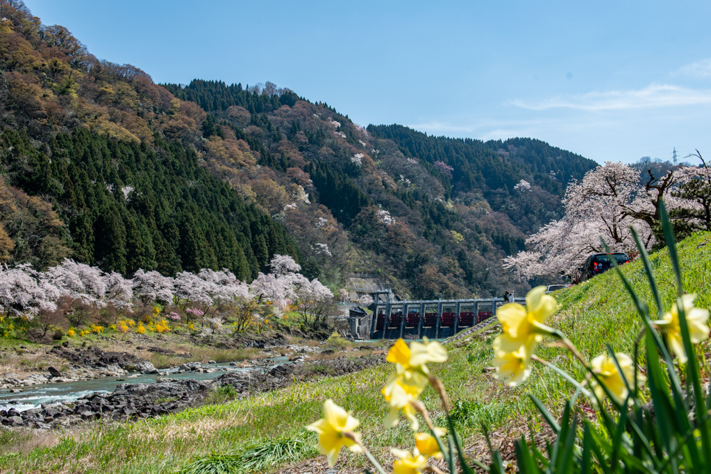 庄川合口ダム下流左岸から見る庄川嵐山風景その２