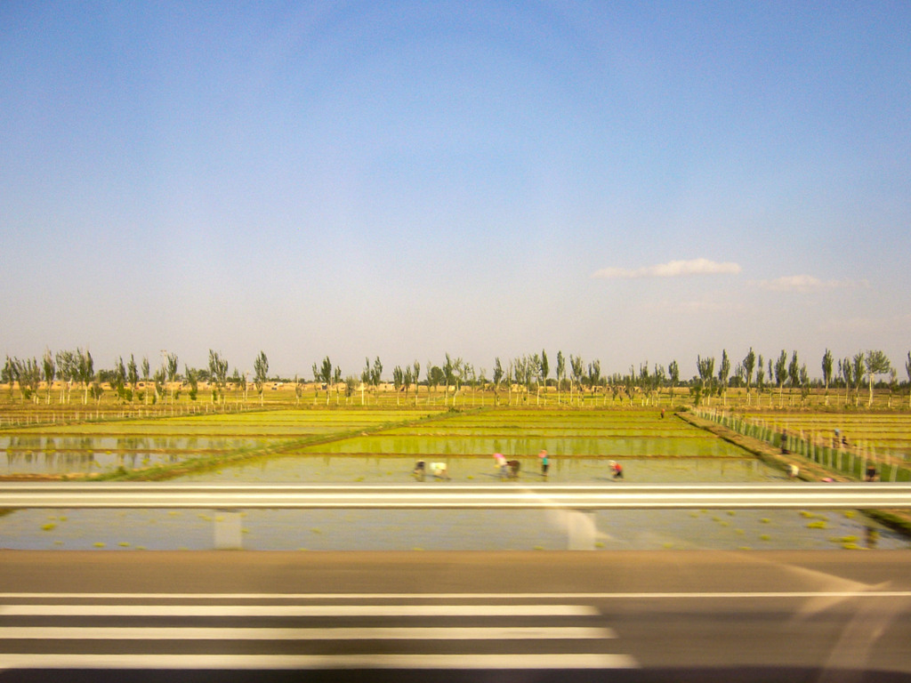 2006年中国の旅１　田植え＠寧夏回族自治区・石嘴山
