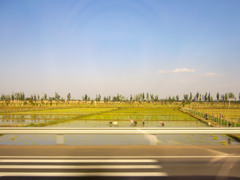 2006年中国の旅１　田植え＠寧夏回族自治区・石嘴山