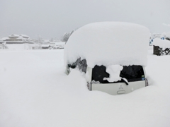 大雪　脱出大作戦　その壱