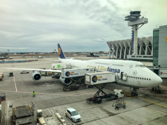 ジャンボB747-8 ＠フランクフルト国際空港