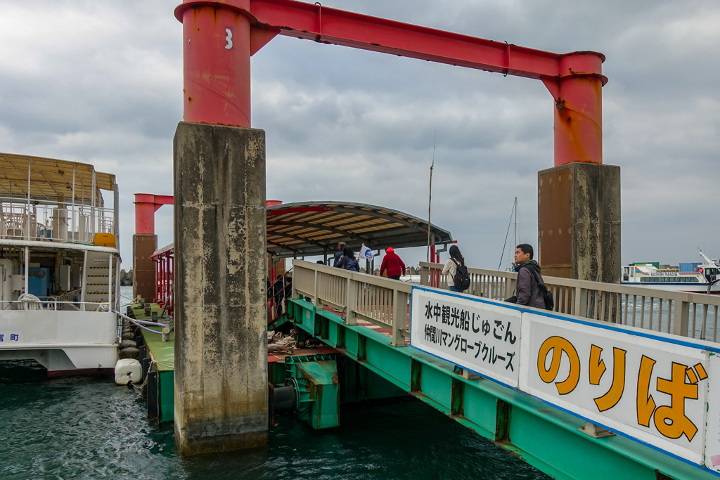 仲間川マングローブクルーズへ