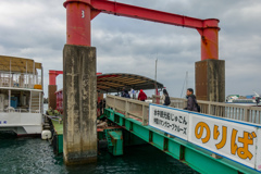 仲間川マングローブクルーズへ