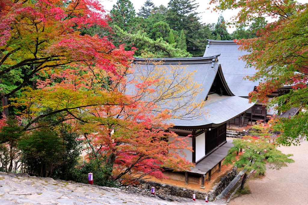 京都　三尾巡り　高雄山神護寺Ⅳ