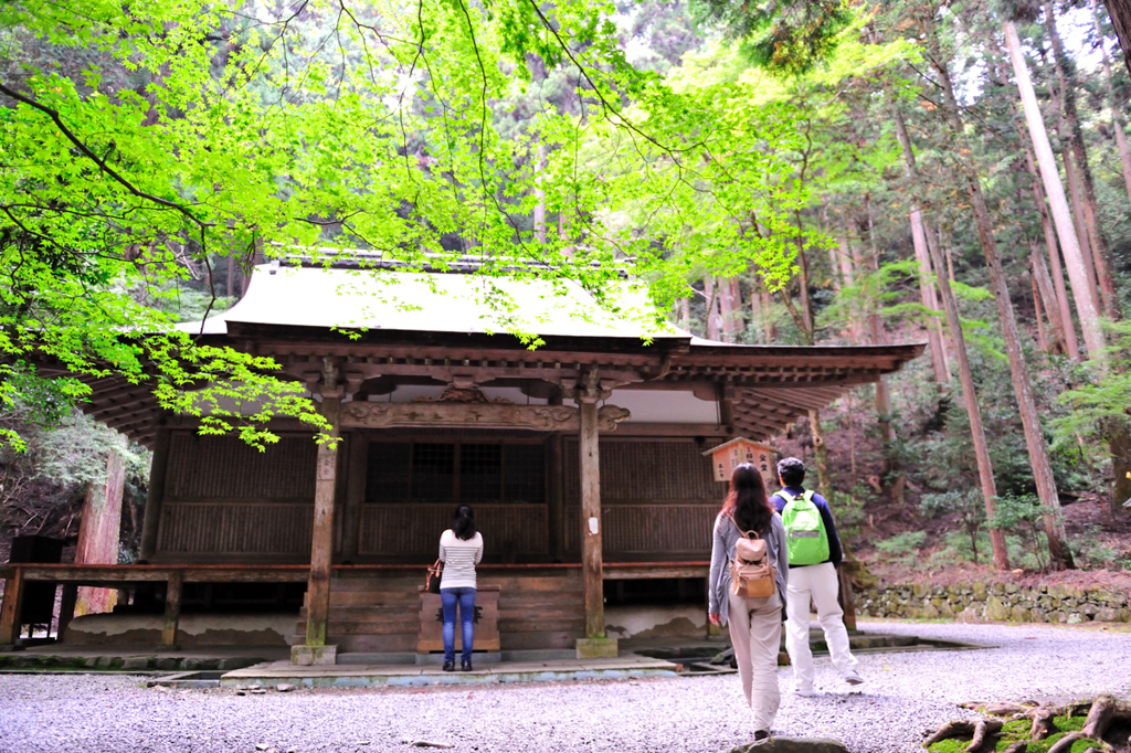 京都　三尾巡り　世界遺産　栂尾山高山寺Ⅲ